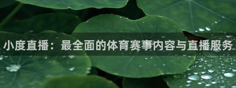 51视频在线直播nba：小度直播：最全面的体育赛事内容与直播服务