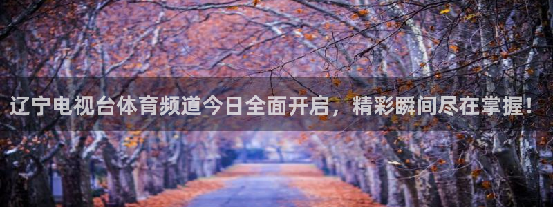 51视频在线直播nba：辽宁电视台体育频道今日全面开启，精彩瞬间尽在掌握！