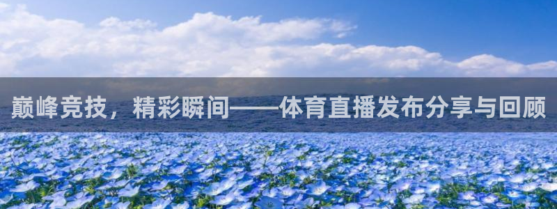 51视频在线直播nba：巅峰竞技，精彩瞬间——体育直播发布分享与回顾