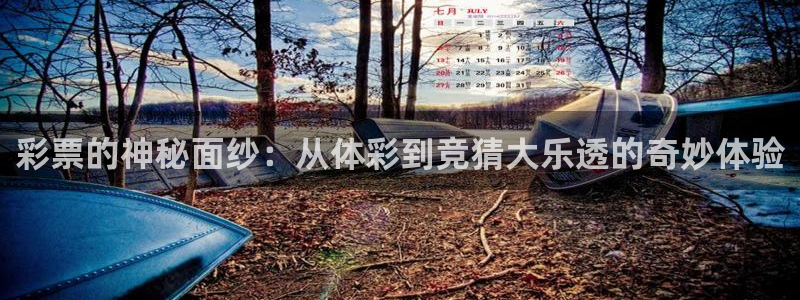 51视频在线直播nba：彩票的神秘面纱：从体彩到竞猜大乐透的奇妙体验