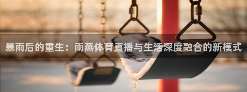51视频在线直播nba：暴雨后的重生：雨燕体育直播与生活深度融合的新模式