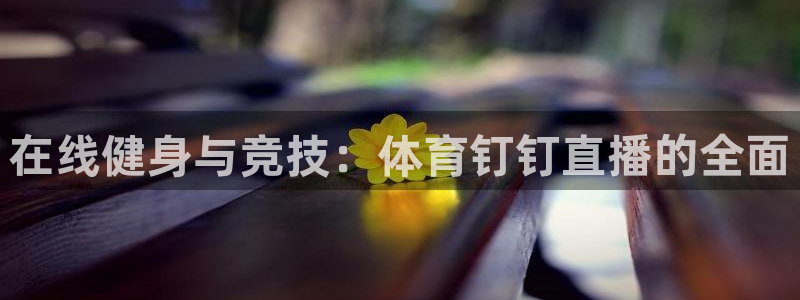 51视频在线直播nba：在线健身与竞技：体育钉钉直播的全面