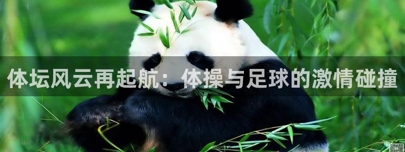 51视频在线直播nba：体坛风云再起航：体操与足球的激情碰撞