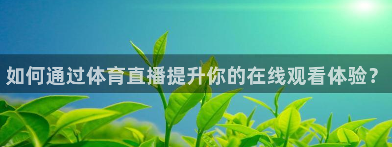 51视频在线直播nba：如何通过体育直播提升你的在线观看体验？